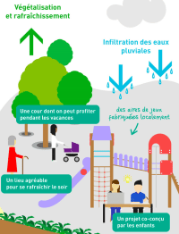 Tout sur les cours oasis