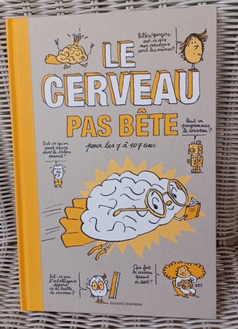 Une image contenant texte, dessin humoristique, livre, conteneur

Description générée automatiquement