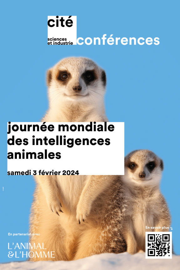 Une image contenant mammifère, suricate, texte, museau

Description générée automatiquement